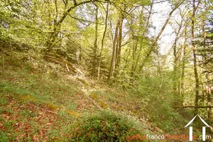 Bezit 1 hectare ++ te koop neuvic entier, limousin, 777 Afbeelding - 36