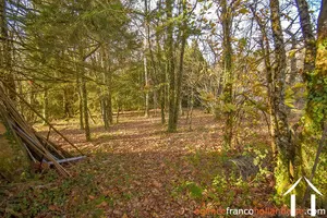 Dorpshuis te koop linards, limousin, Li856 Afbeelding - 56