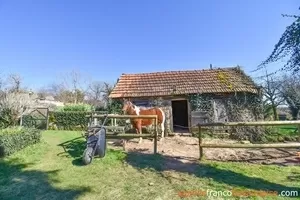Huis met gastverblijf te koop la porcherie, limousin, Li977 Afbeelding - 38