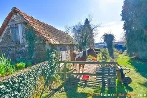 Huis met gastverblijf te koop la porcherie, limousin, Li977 Afbeelding - 39