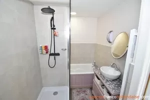 Huis met gastverblijf te koop la porcherie, limousin, Li977 Afbeelding - 14