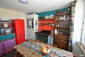 Huis met gastverblijf te koop la porcherie, limousin, Li977 Afbeelding - 11