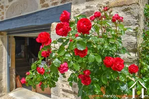 Woonhuis te koop chateauneuf la foret, limousin, Li990 Afbeelding - 38