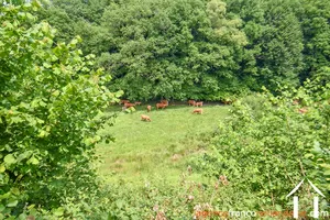 Woonhuis te koop rempnat, limousin, Li996 Afbeelding - 40