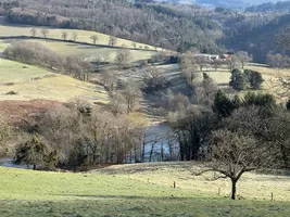 Schuren, ruïnes e.d. te koop arronnes, auvergne, AP030071059 Afbeelding - 8