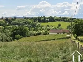 Woonboerderij te koop montcombroux les mines, auvergne, AP030071103 Afbeelding - 9