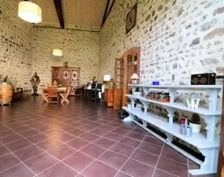 Châteaux, landhuizen te koop bournoncle st pierre, auvergne, AP03007942 Afbeelding - 32