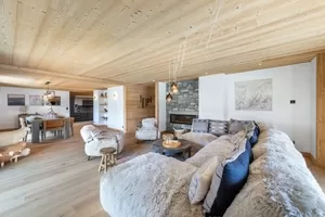 Appartement te koop demi quartier, rhône-alpen, C4619 Afbeelding - 2