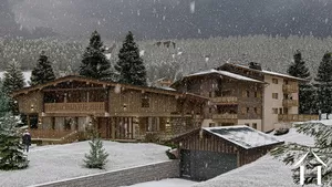 Appartement te koop praz sur arly, rhône-alpen, C4725-A102 Afbeelding - 14