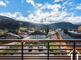 Appartement te koop demi quartier, rhône-alpen, C4935 Afbeelding - 14