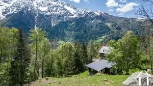 Bebouwbare grond te koop les houches, rhône-alpen, C5298-2 Afbeelding - 4