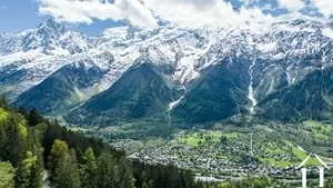 Bebouwbare grond te koop les houches, rhône-alpen, C5298-2 Afbeelding - 6