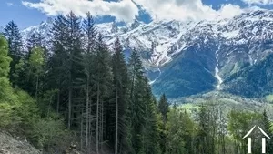 Bebouwbare grond te koop les houches, rhône-alpen, C5298-2 Afbeelding - 5