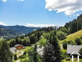 Bebouwbare grond te koop les gets, rhône-alpen, C5733 Afbeelding - 7