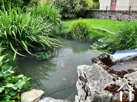 Fish pond