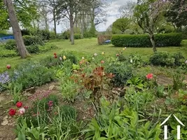 Plants and shrubs