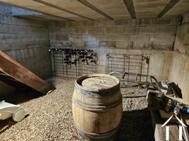 Wine cellar