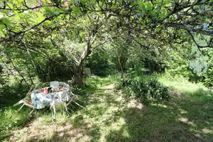 Hoek in de schaduw na de rivier