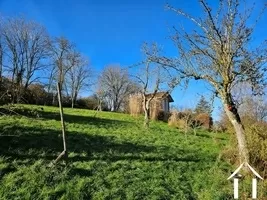 Tuinuitzicht naar Folie