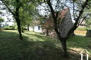 Achtertuin