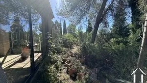 Woonhuis te koop st clement de riviere, languedoc-roussillon, 08-0234 Afbeelding - 3