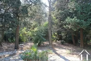 Maison de Maître te koop montpellier, languedoc-roussillon, ba021 Afbeelding - 2