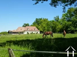 Authentiek stenen huis  te koop villereal, aquitanië, DM3172 Afbeelding - 15