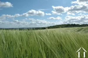 Bezit 1 hectare ++ te koop thenon, aquitanië, GVS4241C Afbeelding - 18