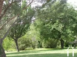 Huis met gastverblijf te koop goudargues, languedoc-roussillon, ASMASCANFI Afbeelding - 3