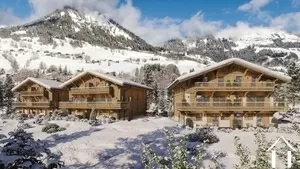 Nieuw semi-chalet met tuin en uitzicht - praz-sur-arly Ref # C6380-C1 