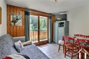 2 slaapkamer appartement - ski in en ski out Ref # C6547 