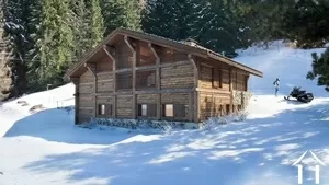 Een authentieke bergweide op 80 m van de pistes, op maat gemaakt in een unieke natuurlijke omgeving Ref # C6613 