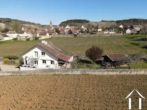 Huis met chalet midden in de wijngaarden, op 7 km van Beaune Ref # PM5411D 