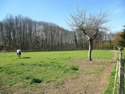 Cottage te koop mayet, landen van de loire, P1297 Afbeelding - 4