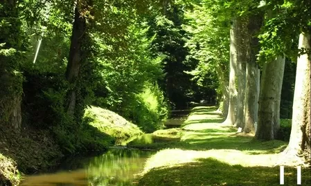 Châteaux, landhuizen te koop mazamet, zuid-frankrijk-pyreneeën, 11-2214 Afbeelding - 14