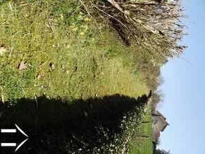 private path to village