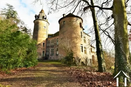 Châteaux, landhuizen te koop st gengoux le national, bourgogne, JP4644S Afbeelding - 8