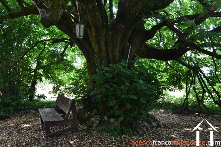 Huis met gastverblijf te koop st saud lacoussiere, aquitanië, Li1002 Afbeelding - 38