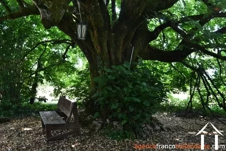 Huis met gastverblijf te koop st saud lacoussiere, aquitanië, Li1002 Afbeelding - 38