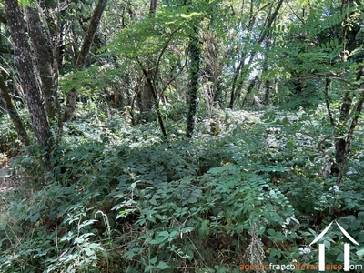 Woonhuis te koop st julien le vendomois, limousin, Li1003 Afbeelding - 58