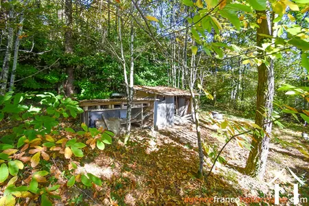 Woonhuis te koop meuzac, limousin, Li1019 Afbeelding - 41