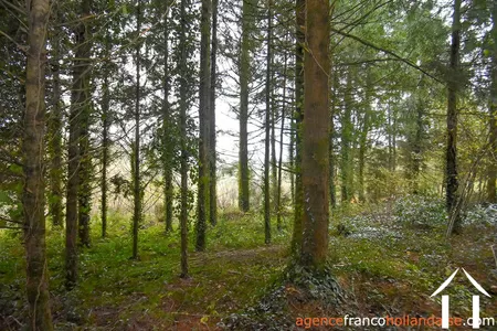 Woonhuis te koop st amand jartoudeix, limousin, Li1024 Afbeelding - 40