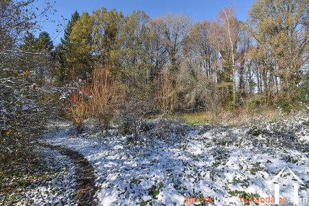 Huis met gastverblijf te koop chateauneuf la foret, limousin, Li1025 Afbeelding - 42