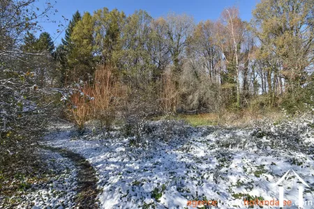 Huis met gastverblijf te koop chateauneuf la foret, limousin, Li1025 Afbeelding - 42