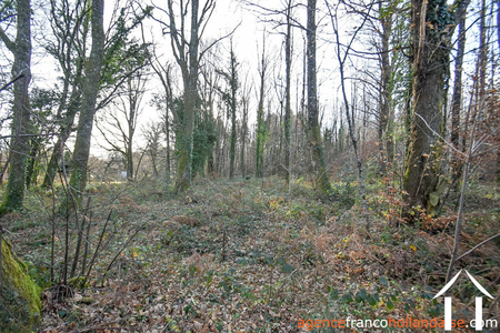 Huis met gastverblijf te koop chateauneuf la foret, limousin, Li1025 Afbeelding - 65