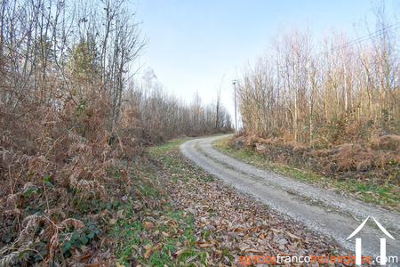 Huis met gastverblijf te koop chateauneuf la foret, limousin, Li1025 Afbeelding - 71