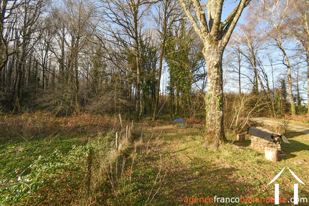 Huis met gastverblijf te koop chateauneuf la foret, limousin, Li1025 Afbeelding - 68