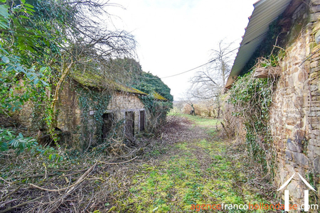 Huis met gastverblijf te koop neuvic entier, limousin, Li1027 Afbeelding - 84