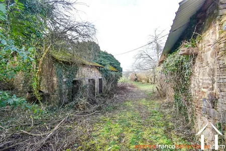 Huis met gastverblijf te koop neuvic entier, limousin, Li1027 Afbeelding - 84