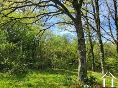 Woonhuis te koop chateau chervix, limousin, Li1032 Afbeelding - 73